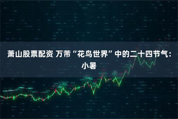 萧山股票配资 万芾“花鸟世界”中的二十四节气：小暑